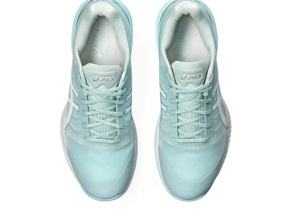 NETBURNER PROFESSIONAL™ FF 3